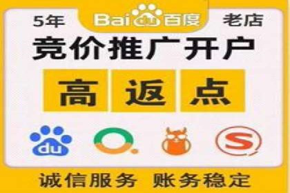 旅游行业SEM推广的实战案例分析
